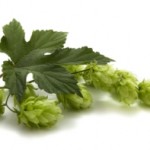 Hops2