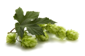 Hops2