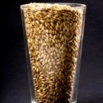 Grains