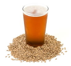 beer_barley_web