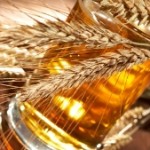 Grains and beer