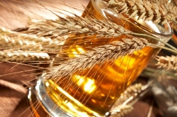 Grains and beer