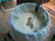 Brew in a Bag (BIAB) All Grain Beer Brewing