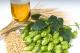 Avoiding a Stuck Sparge for All Grain Beer