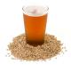 Malting Barley Grain at Home