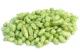 Brewing Hops: 10 Tips for Surviving the Hops Shortage
