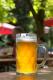 Brewing Marzen and Oktoberfest Beer Recipes